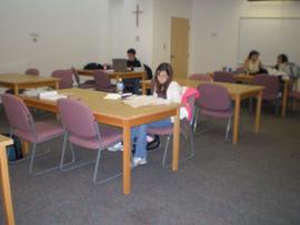 Basement study room