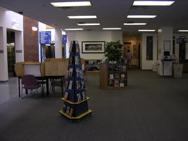 Main floor study and display area