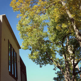 Library (east side of building)